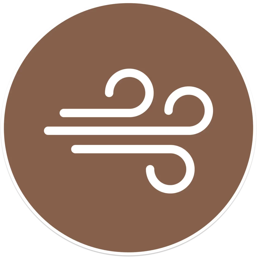 wind icon