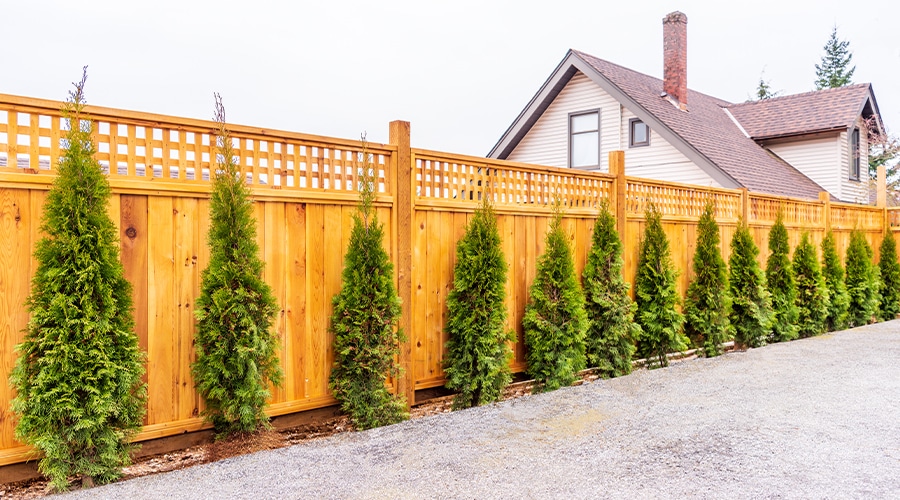 Install a Vinyl or Cedar Fence with Lattice Top in Fort Wayne, IN